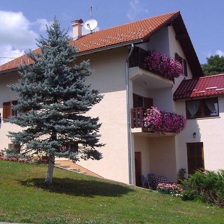 Guesthouse Hodak Selište Drežničko Zewnętrze zdjęcie